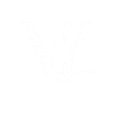 Vizlocus